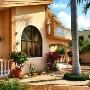 Bubali Aruba